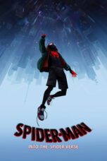 Spider-Man: Into the Spider-Verse (2018) Spider-Man: Into the Spider-Verse (2018)