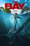 The Bay (2026)